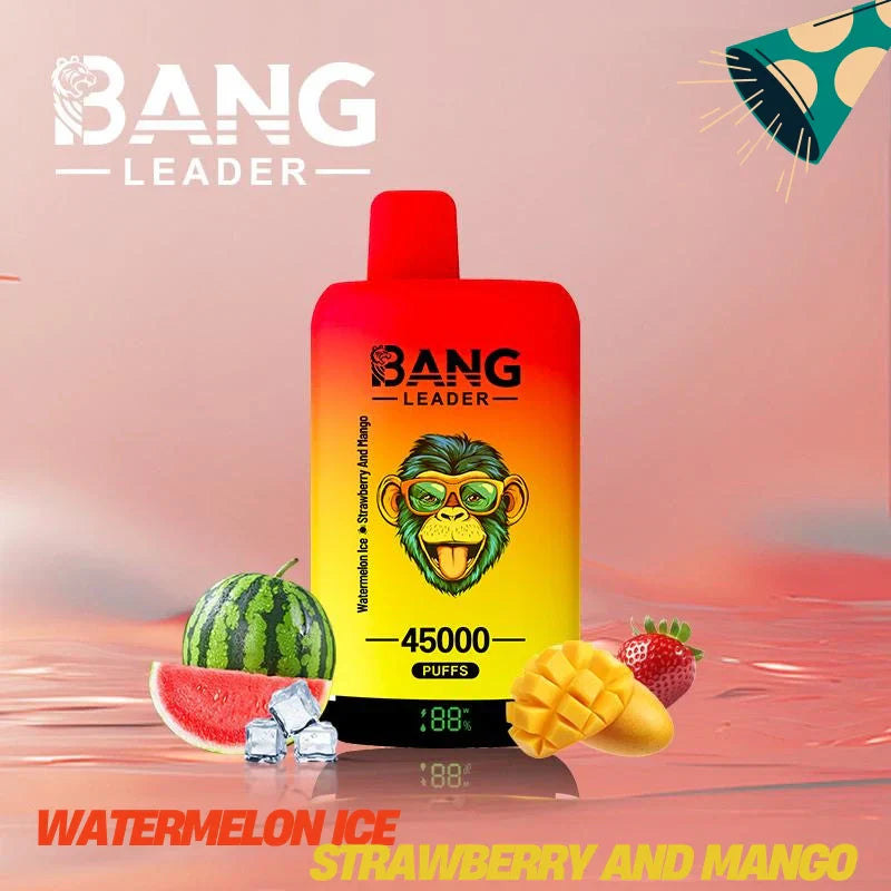 Bang Leader 45000 Puffs Dual Flavors Factory Direct Supply Bulk Price-650mAh Battery,  Multiple Nicotine 12 Flavors
