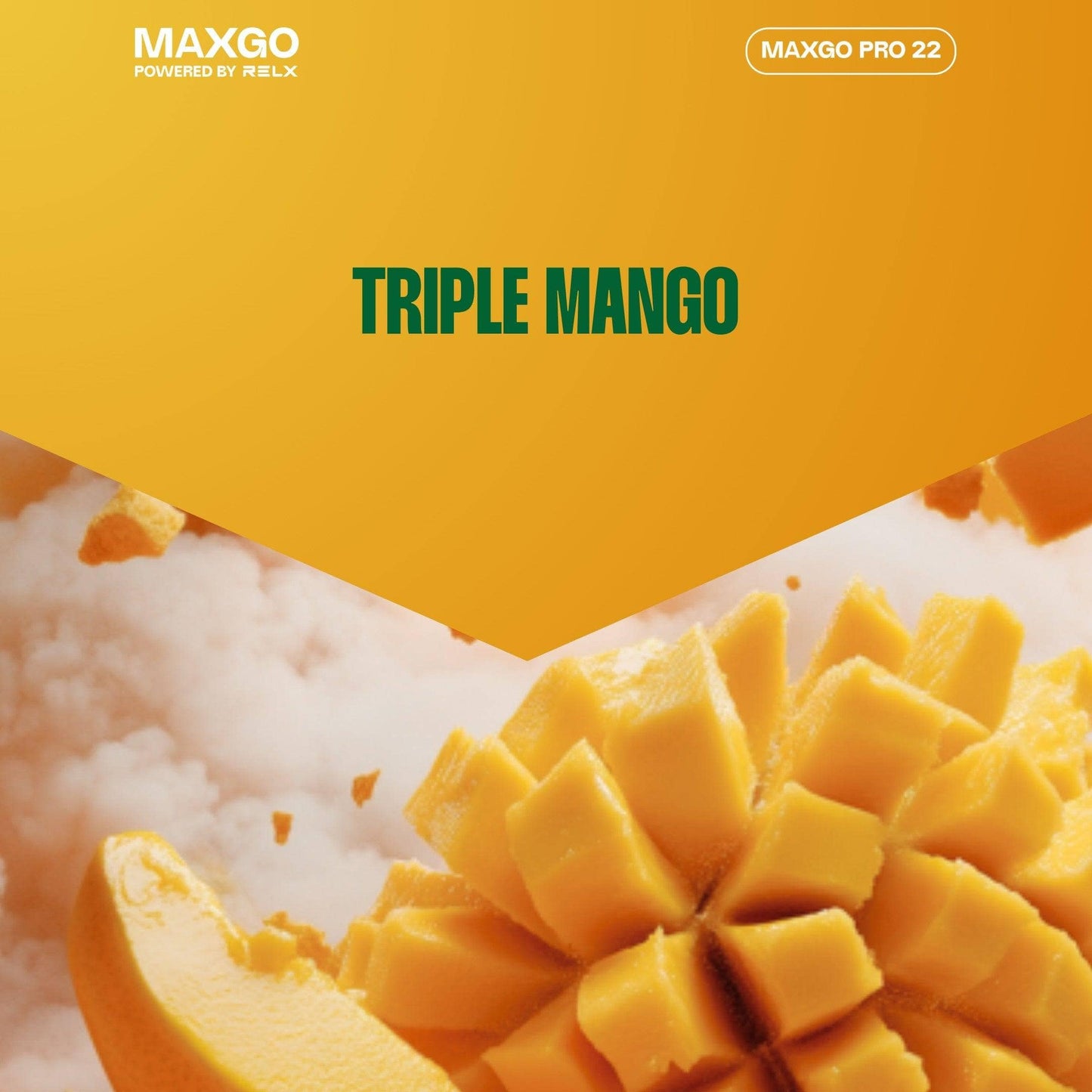 RELX MAXGO Pro 22