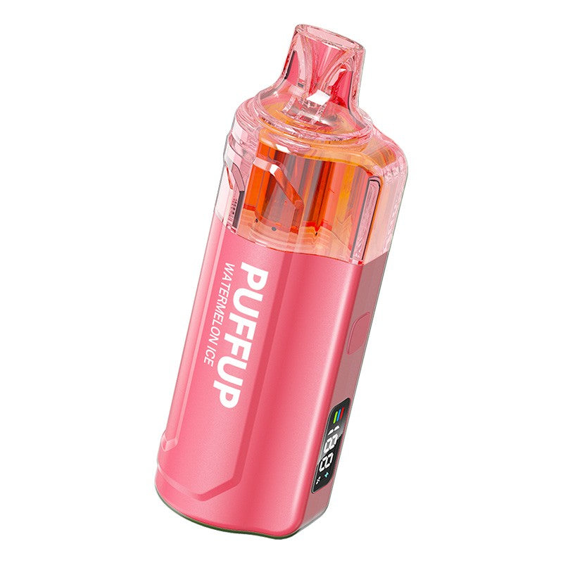 Puffup 25000 Puffs Disposable Vape 15ml 5%